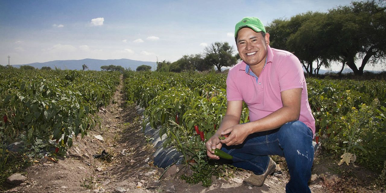 olvin-pineda-agricultura