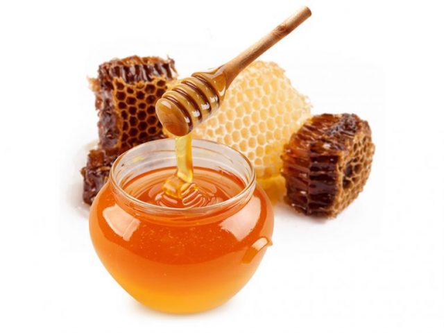 miel_mexicana.jpg-770×578