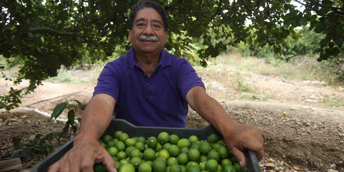 Victor-Olivera Victor-Olivera