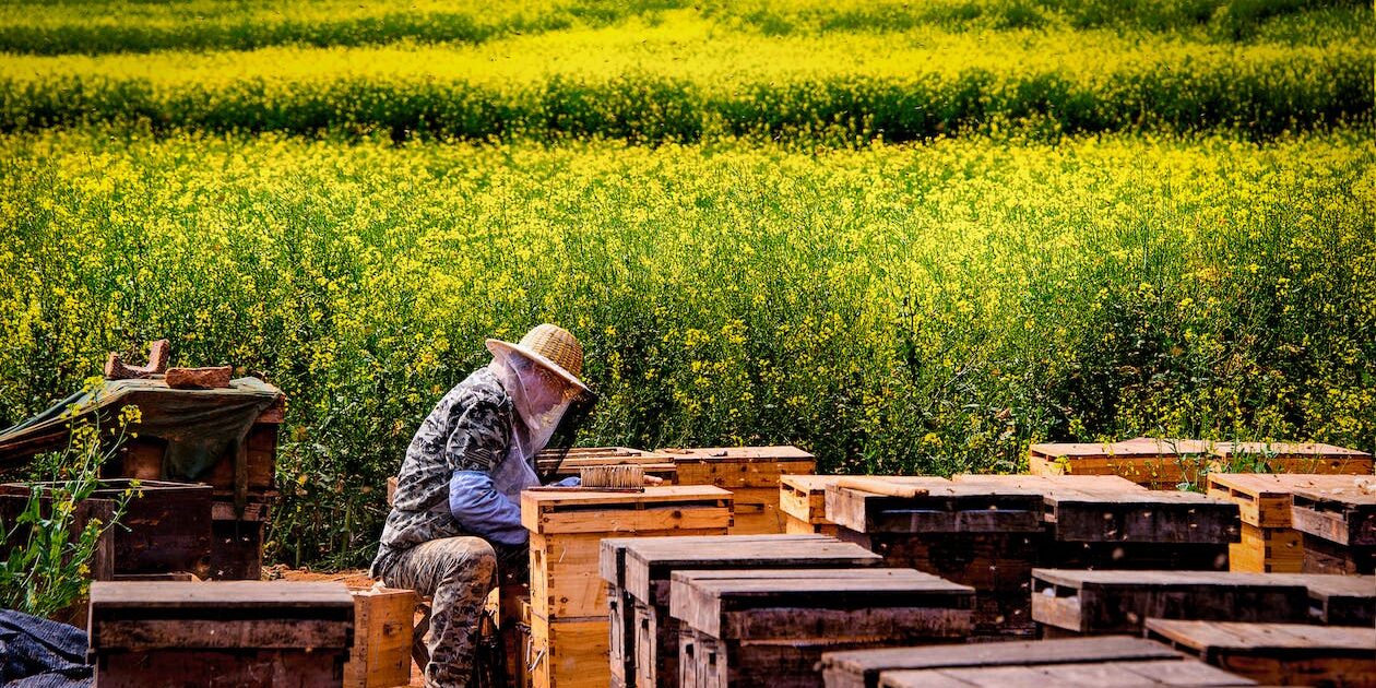 Apicultura y agricultura