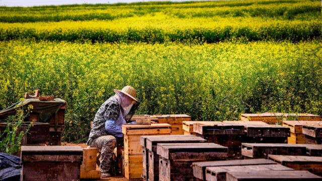 Apicultura y agricultura Apicultura y agricultura