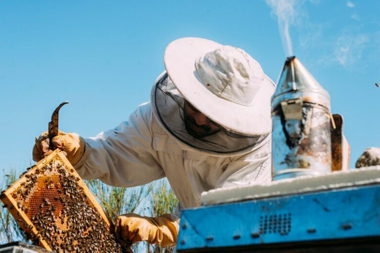 El diseño de esta colmena permite recoger miel directamente en el envase
