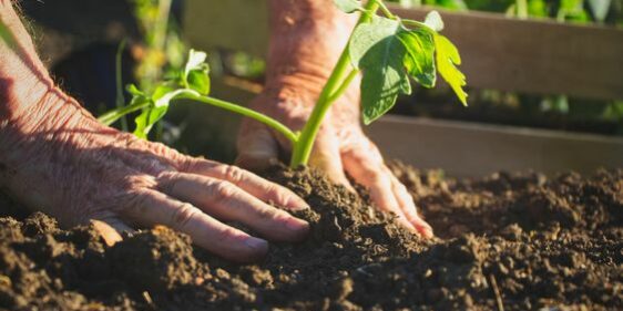 ¿Por Qué Es Importante Conocer Sobre Productos Para La Protección De ...